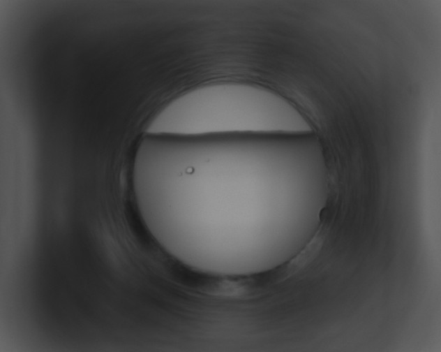 X0000100910166200806241058