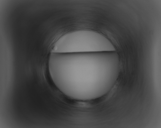 X0000100910167200806241058