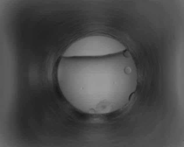 X0000100910175200806241058