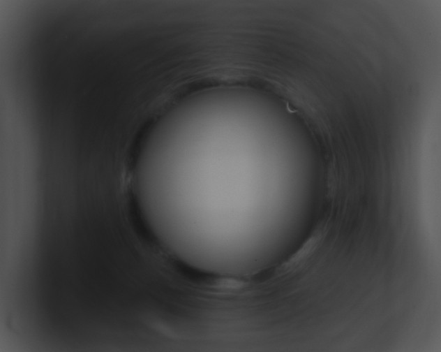 X0000100910176200806241058