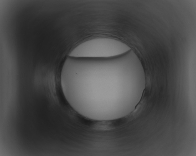 X0000100910179200806241058