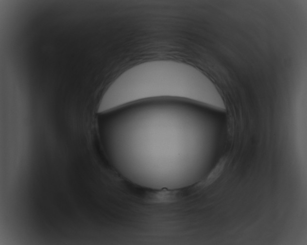 X0000100910184200806241058