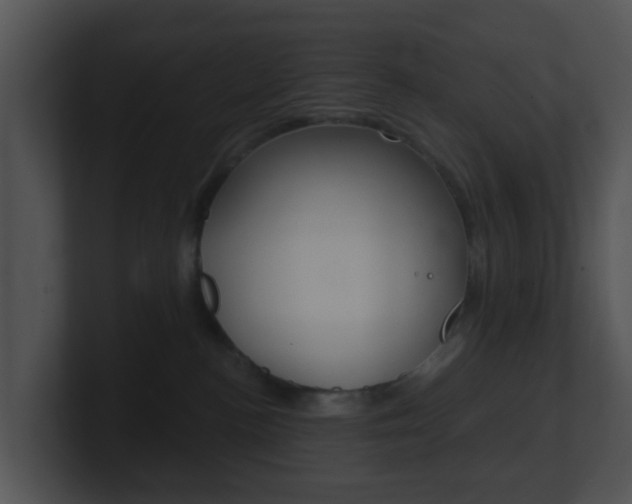 X0000100910188200806241058