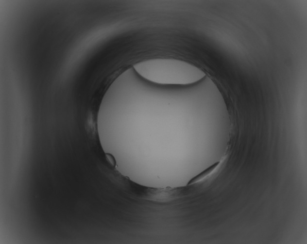 X0000100910191200806241058