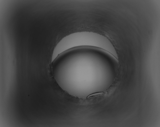 X0000100910192200806241058
