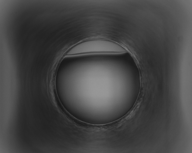 X0000100910193200806241058