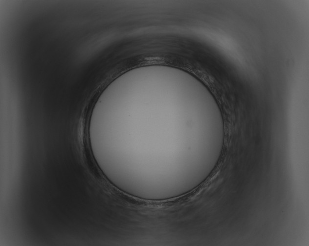 X0000100910194200806241058