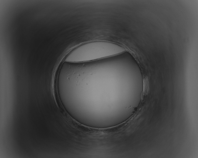 X0000100910195200806241058