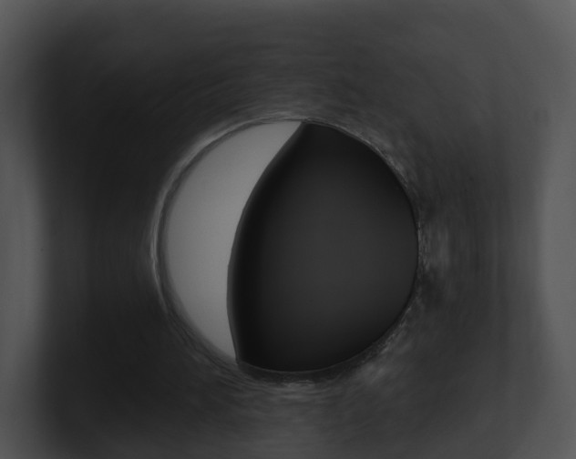 X0000100910196200806241058