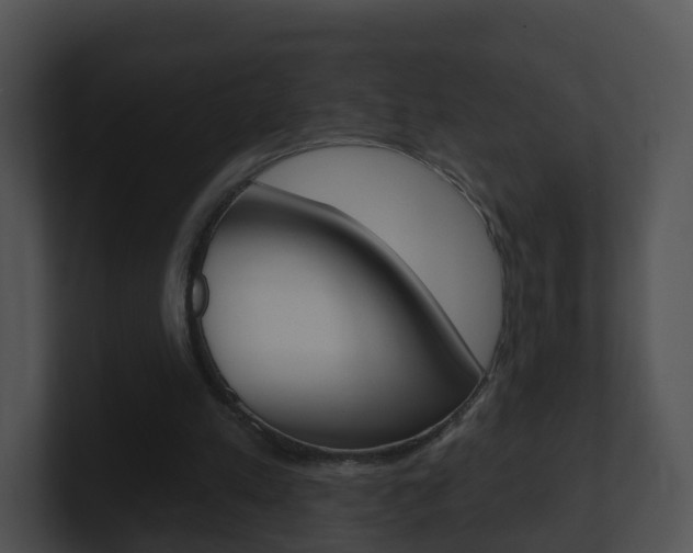 X0000100910197200806241058