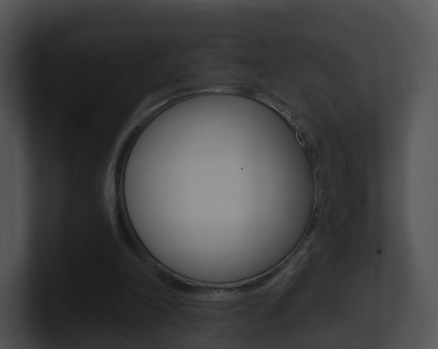 X0000100910198200806241058