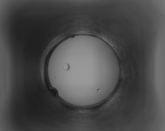 X0000100910199200806241058