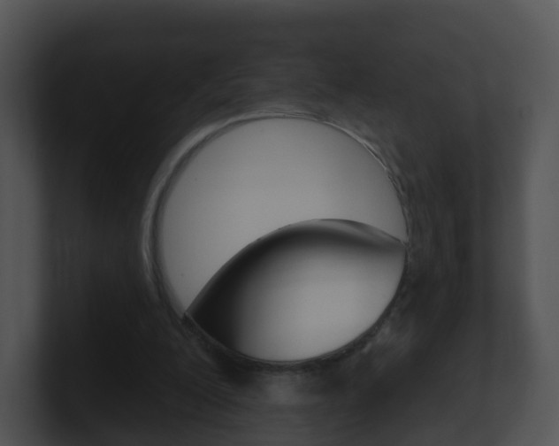 X0000100910200200806241058