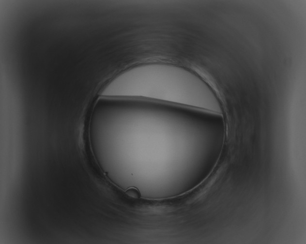 X0000100910201200806241058