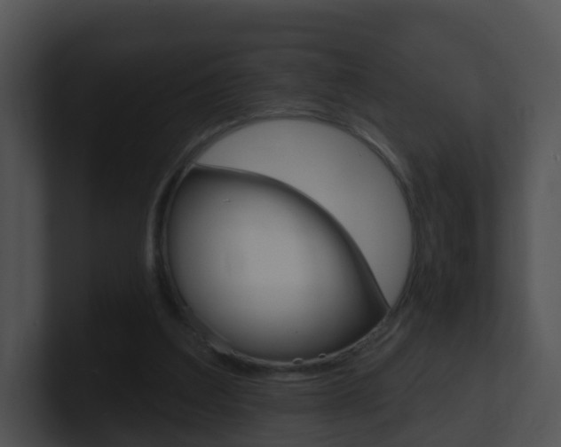 X0000100910203200806241058