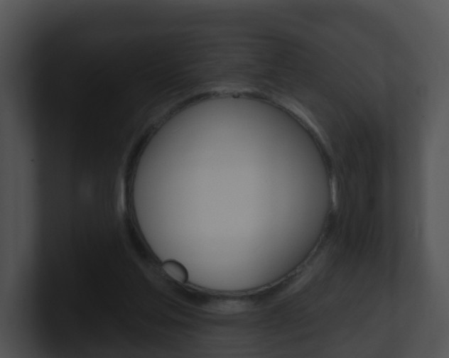 X0000100910205200806241058