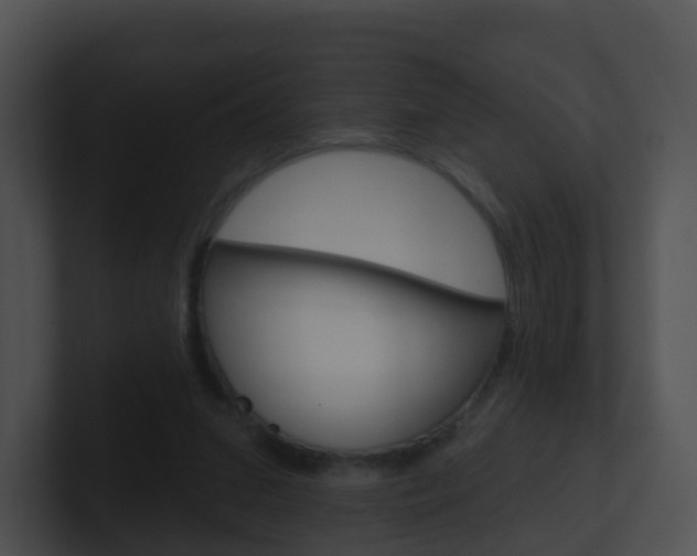 X0000100910207200806241058