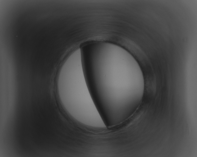 X0000100910208200806241058