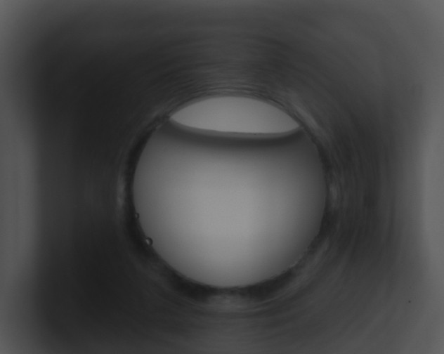 X0000100910211200806241057