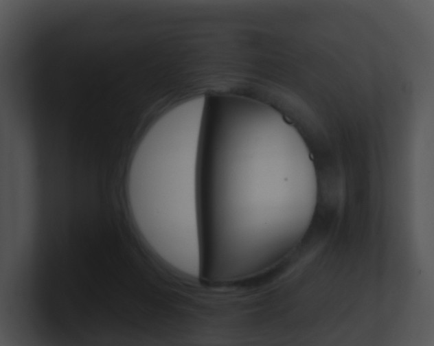 X0000100910216200806241057