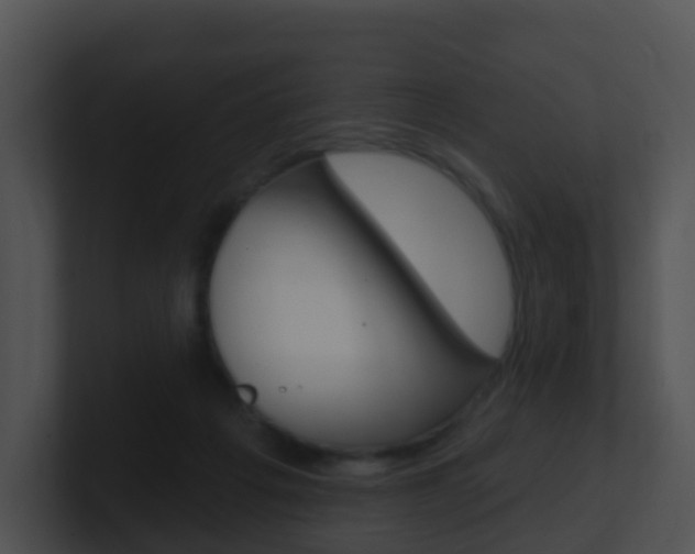 X0000100910217200806241057