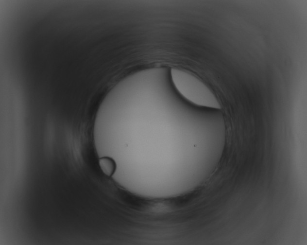 X0000100910218200806241057