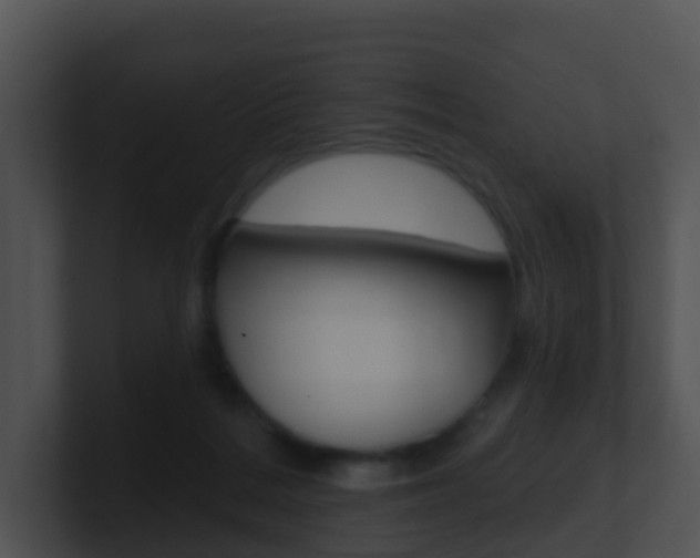 X0000100910220200806241057
