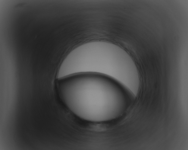 X0000100910221200806241057