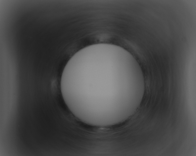X0000100910222200806241057