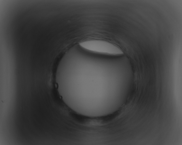 X0000100910223200806241057