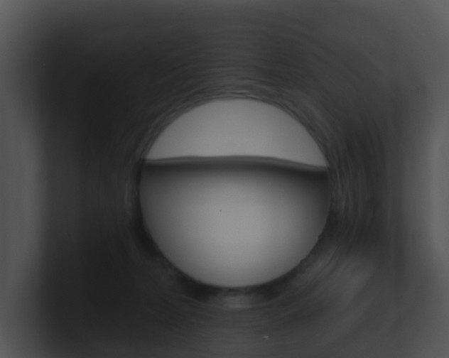 X0000100910228200806241057