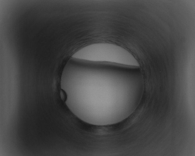 X0000100910229200806241057
