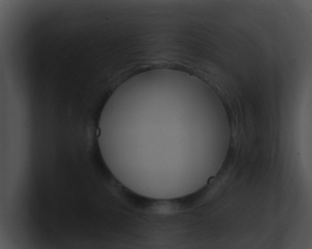 X0000100910231200806241057
