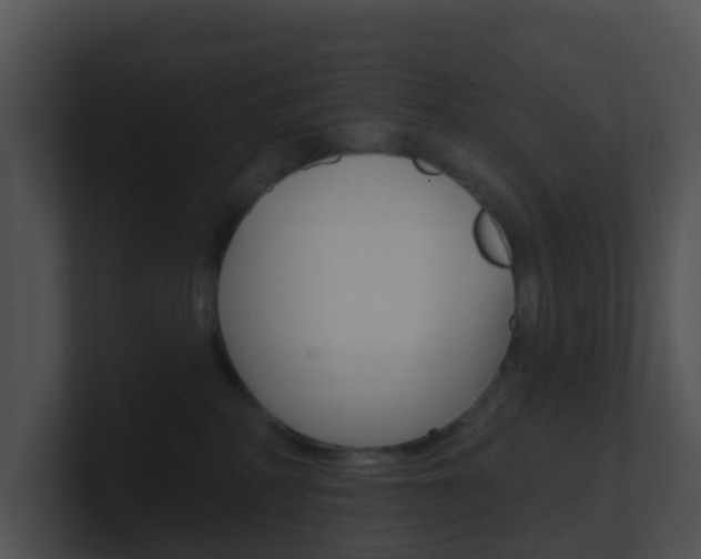 X0000100910234200806241057