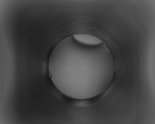 X0000100910235200806241057