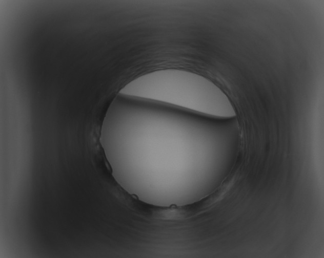 X0000100910237200806241057