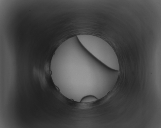 X0000100910238200806241057