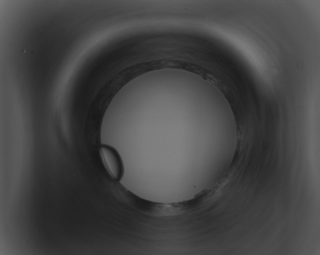 X0000100910239200806241057