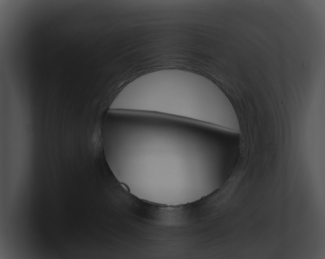 X0000100910240200806241057
