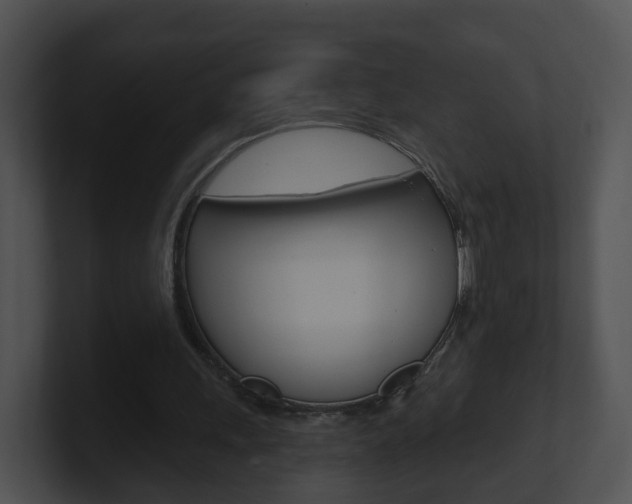 X0000100910243200806241057