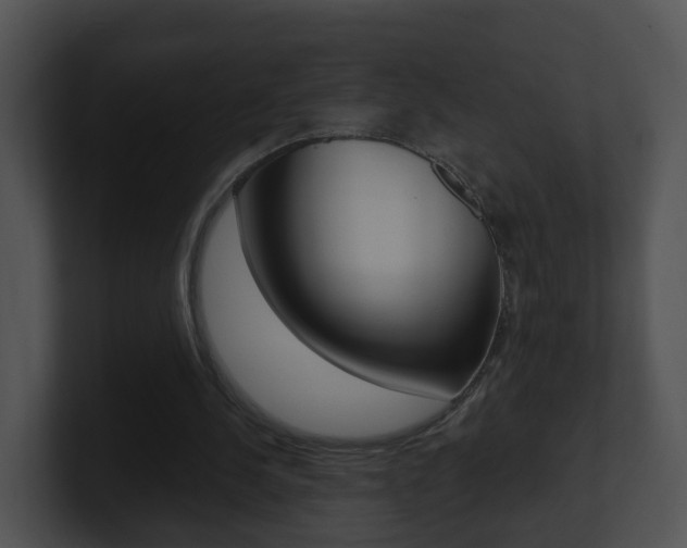 X0000100910244200806241057