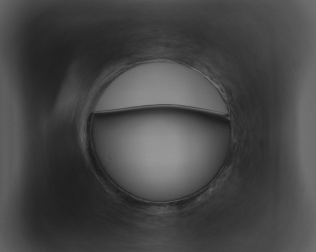 X0000100910245200806241057