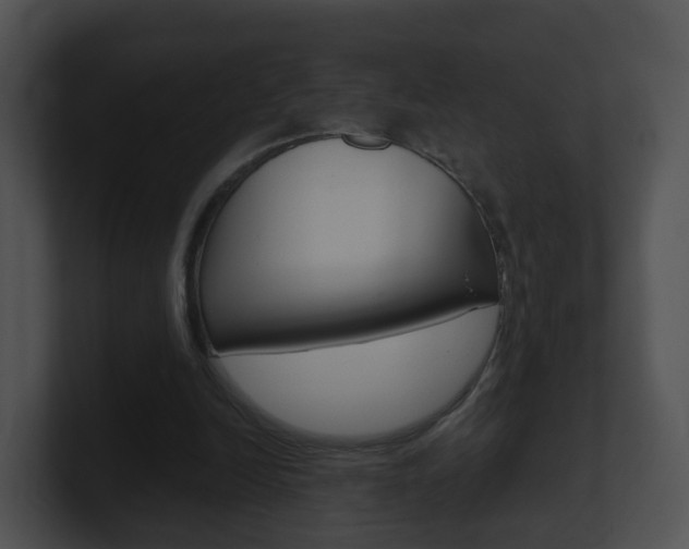X0000100910246200806241057