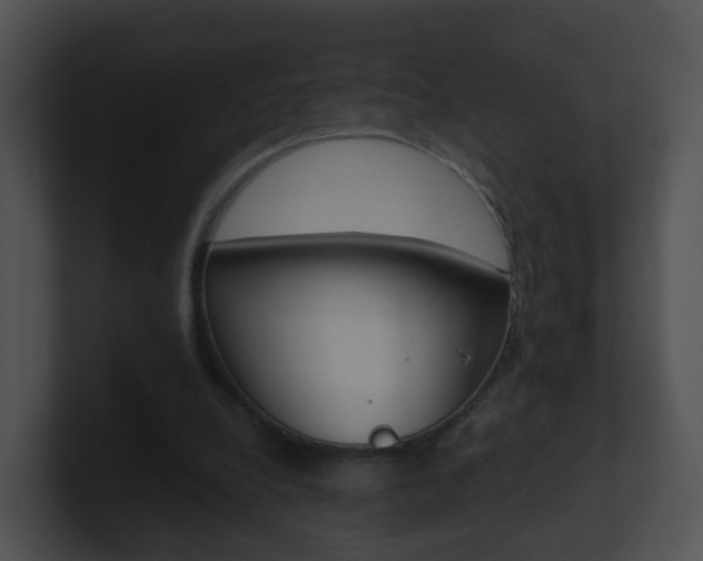 X0000100910248200806241057