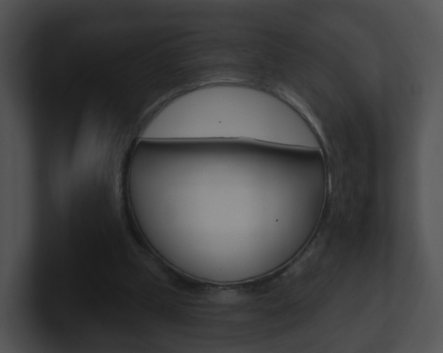 X0000100910249200806241057