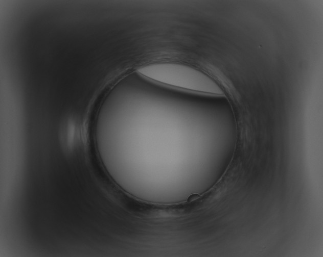 X0000100910250200806241057