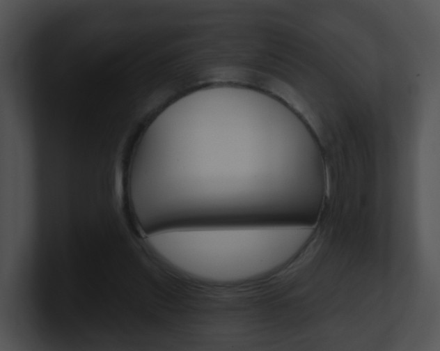 X0000100910253200806241057