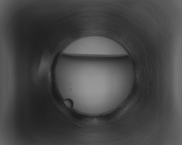 X0000100910254200806241057
