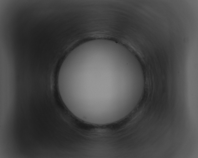 X0000100910255200806241057