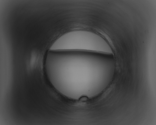 X0000100910257200806241057